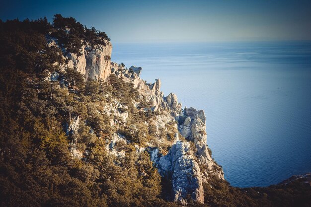 Rocas con árboles y mar