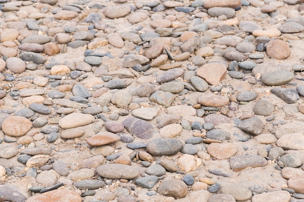 Rocas en la arena