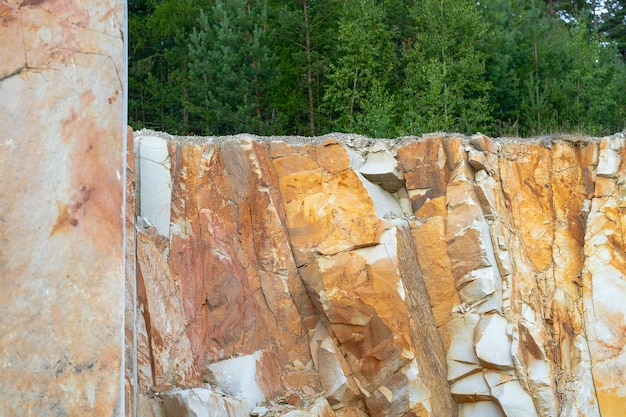 Rocas en una cantera árboles verdes que crecen sobre piedras