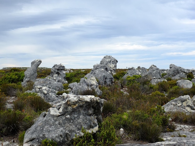 Rocas en la cima de Table Mountain Cape Town South Africa