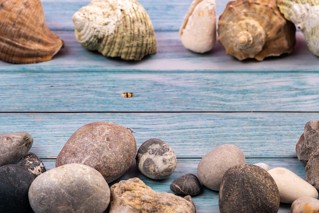 Rocas y conchas sobre un fondo de madera azul.Tema marino