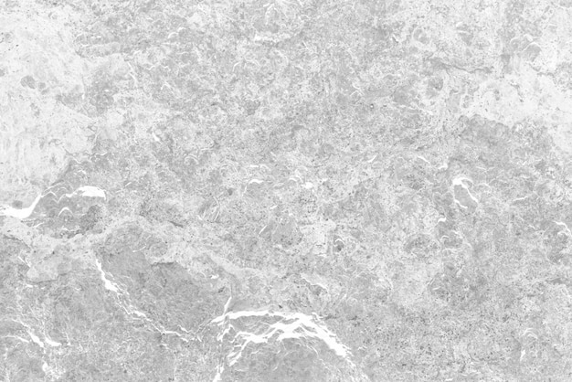 rocas de coral piedra de textura