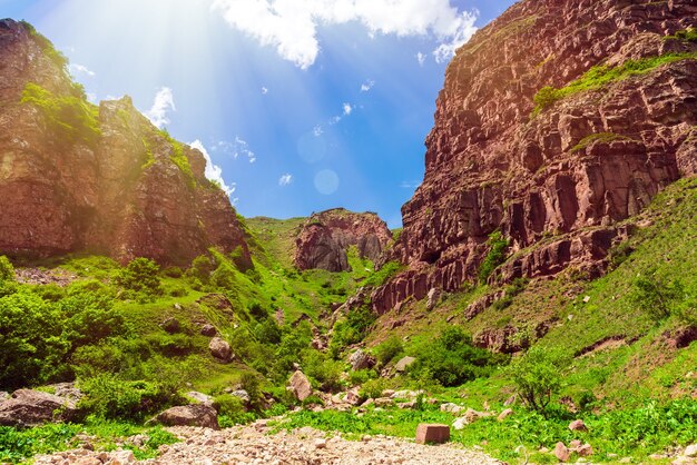 Rocas cubiertas de hierba y cielo soleado