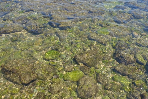 rocas cubiertas de musgo en la playa en los trópicos. caliza blanca de forma irregular. agua clara.