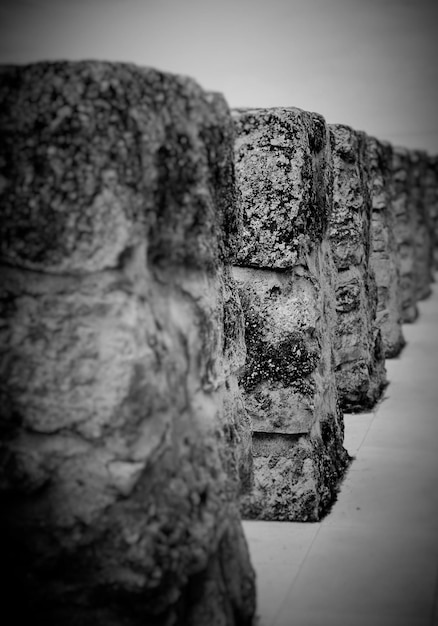 Foto las rocas en fila en el sendero