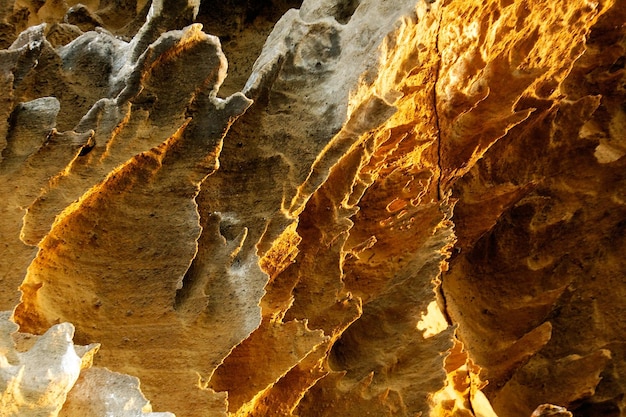 Foto las rocas de las galápagos