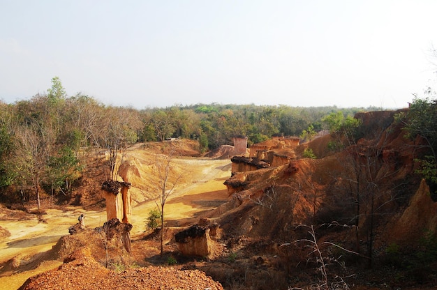 Las rocas de hongos de pedestal de formación del Parque Forestal Phae Mueang Phi se originaron a partir del paisaje del suelo y la erosión natural de la arenisca en varias formas en la montaña Phi Pan Nam Range en Phrae Tailandia