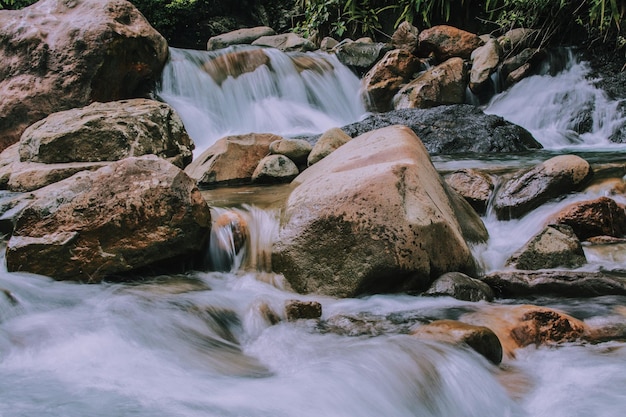 Rocas húmedas en el río