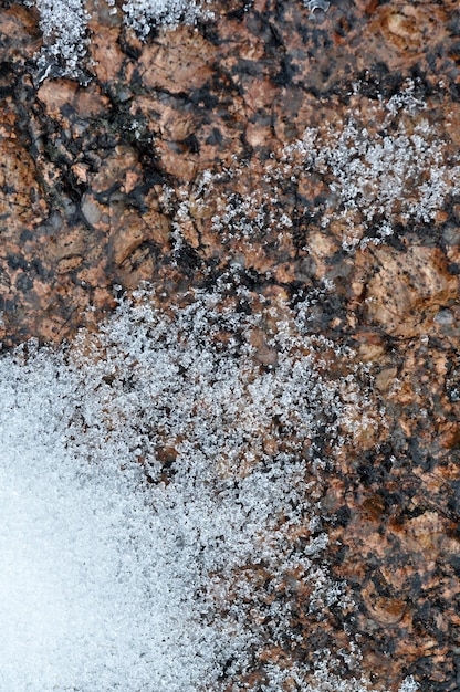 rocas y líquenes