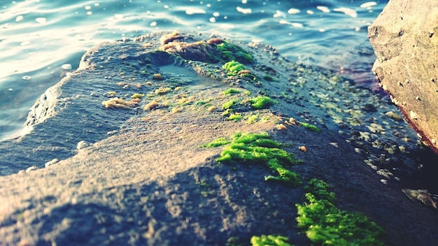 Foto rocas en el mar