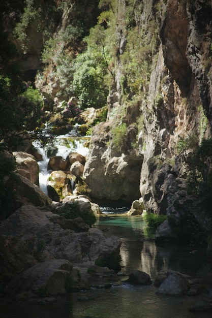 Foto las rocas en el mar