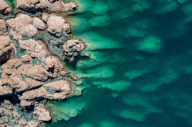 rocas marrones en el agua de mar