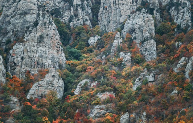 Foto rocas de montaña demerdji