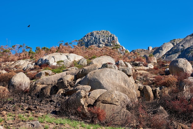 Rocas en una montaña después de un incendio forestal con copyspace Devastado por un incendio forestal que causa daños ambientales en la naturaleza Paisaje arruinado por un desastre que se suma al calentamiento global y al cambio climático