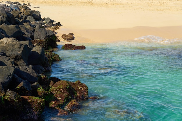 Rocas y olas en una playa tropical de arena