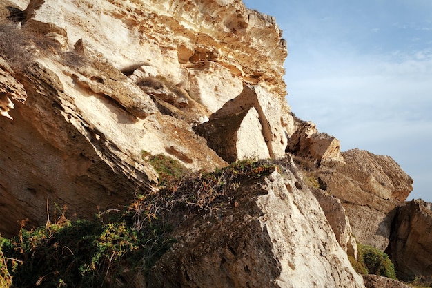 Rocas en la orilla del Mar Caspio Hierba que crece en las rocas