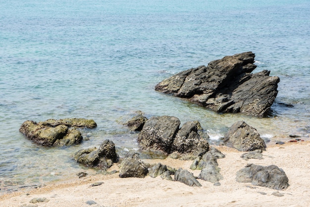 rocas y orilla del mar