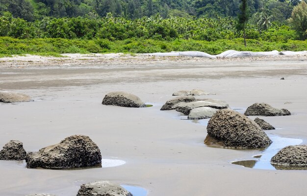 Rocas en una playa de arena cerca del bosque