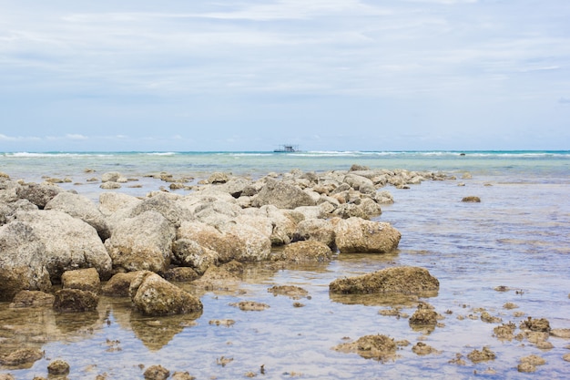 Las rocas en la playa