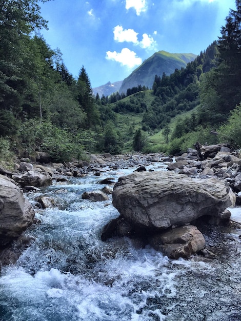 Foto las rocas en el río contra las montañas