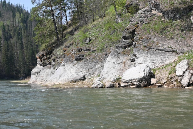 Rocas en el río taiga