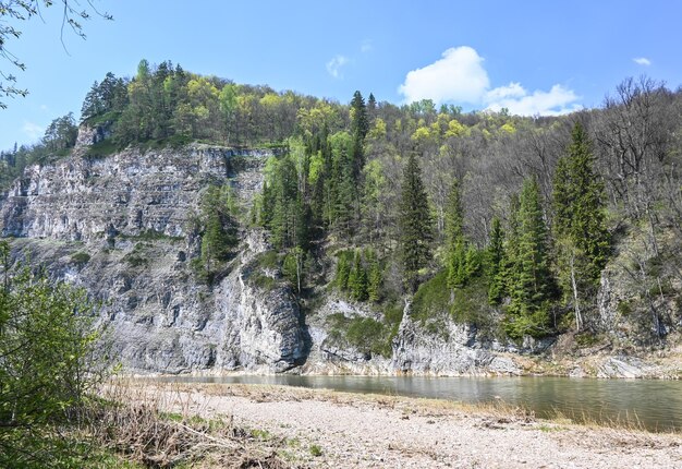 Rocas en el río taiga