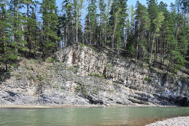 Rocas en el río taiga