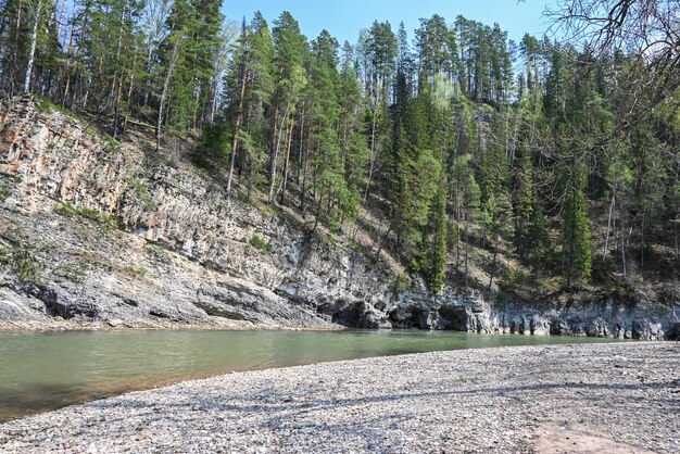 Rocas en el río taiga