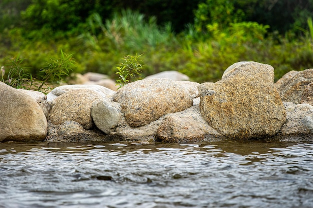 Rocas en el río