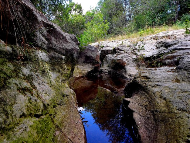 Foto rocas en el río