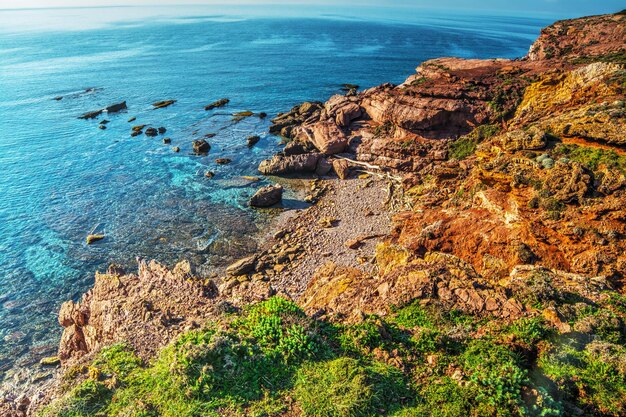 Rocas rojas y plantas verdes junto al mar en Cerdeña Italia