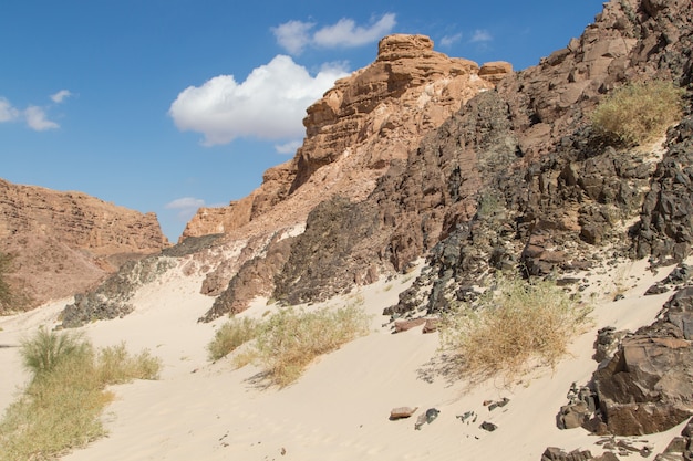 Rocas secas en una vista del desierto