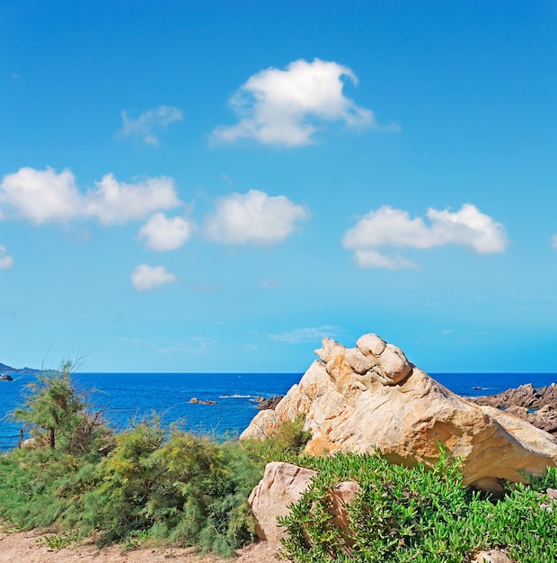 Rocas y vegetación en Costa Paradiso Cerdeña