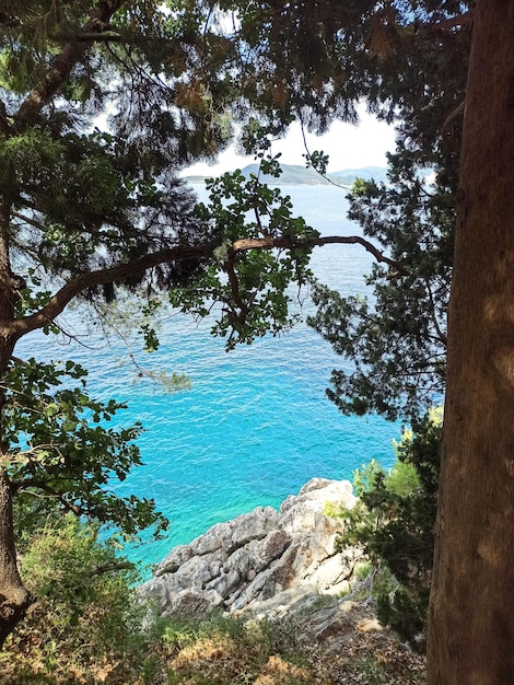 Rocha com pinheiros e águas claras em uma praia em Sveti Stefan Montenegro