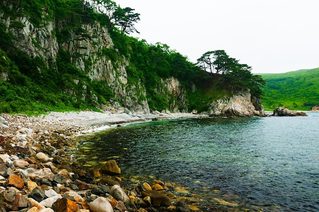 Rocha e mar, litoral rochoso.