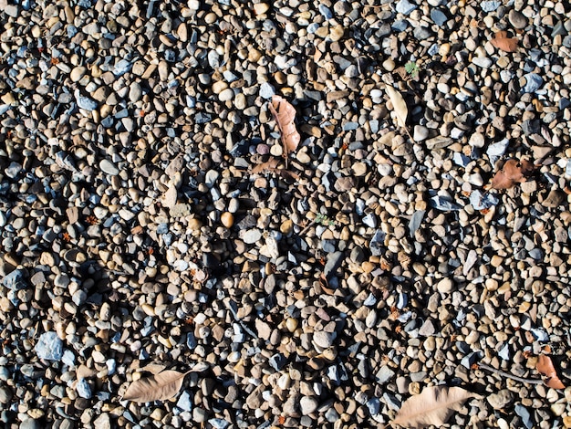 rocha folha flor velho asfalto produzir natural seixo outono solo material fundo