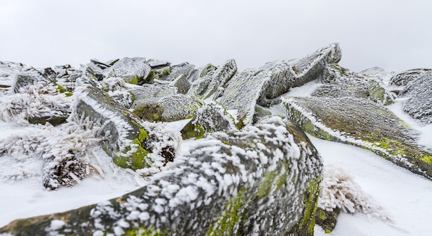 Rochas cobertas de musgo congeladas sob uma fina camada de neve e gelo