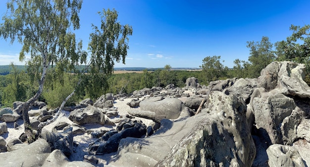 Rochas de arenito com vista para árvores e céu azul