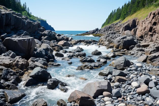 rochas e água em uma costa rochosa com árvores ao fundo