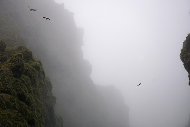 Rochas e névoa em Raudfeldsgja Gorge na Península Snaefellsnes na Islândia