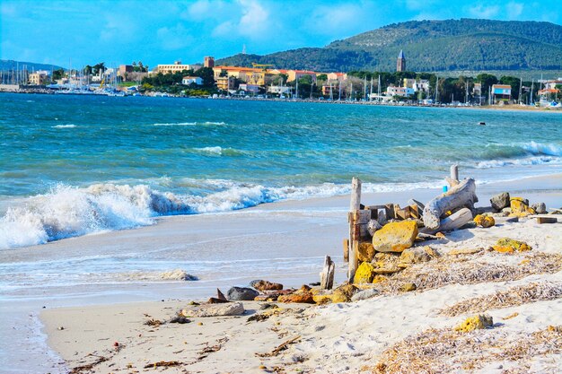 Rochas e troncos na costa em Alghero Itália