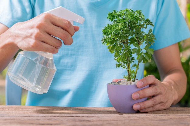 El rociador de agua de plantas en macetas.