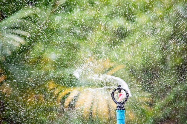 Foto rociador de plástico se regaron árbol fondo borroso hojas.