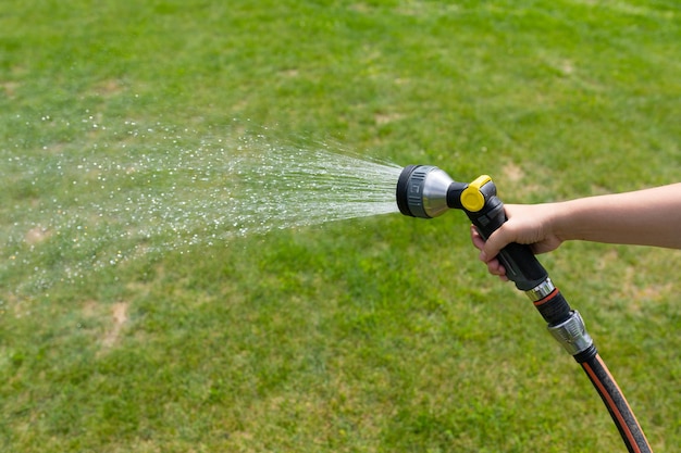 Rociar el césped con agua de una manguera de jardín