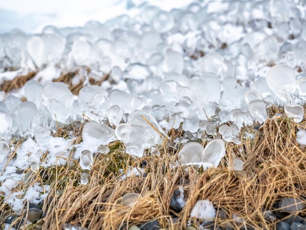 El rocío sobre la hierba se convierte en hielo cristalino y nieve en la temporada invernal de Islandia como fondo