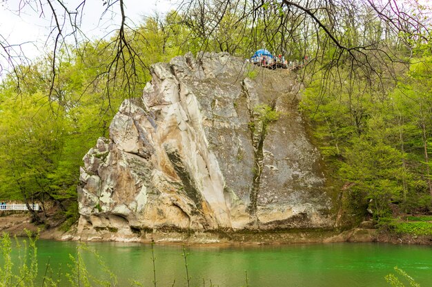 Rock-Hahn in der Stadt Goryachy Klyuch