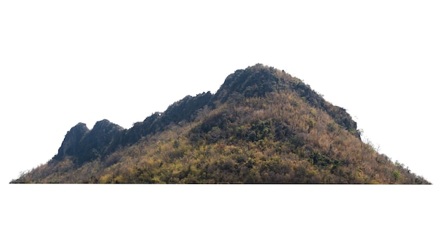 Rock Mountain Hill mit grünem Waldisolat auf Weiß