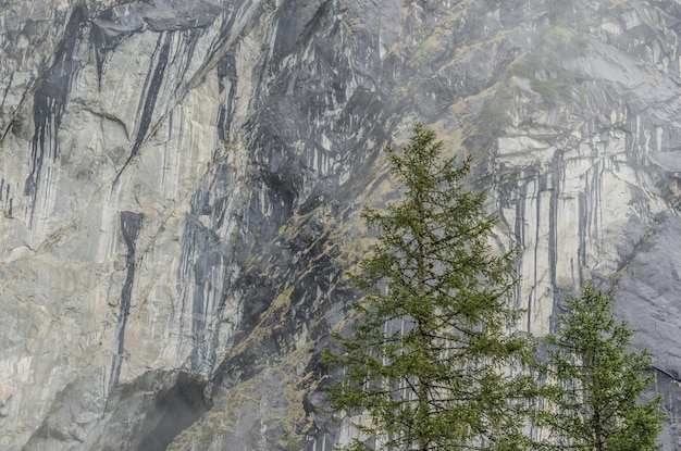 Foto rock und schwarze streifen