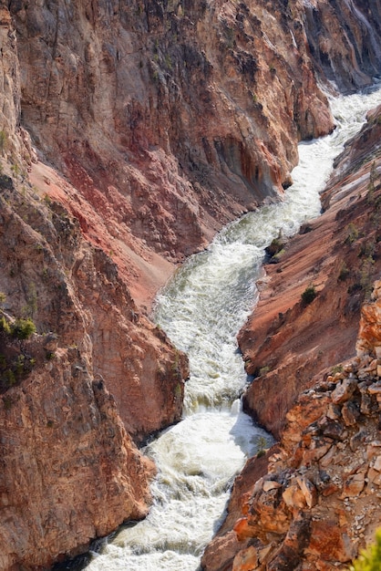 Rocky Canyon und Fluss in der amerikanischen Landschaft Grand Canyon des Yellowstone