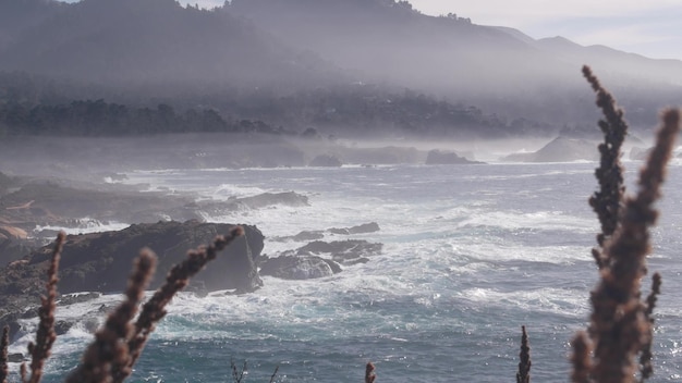 Rocky craggy ocean beach point lobos niebla costa de california olas rompiendo